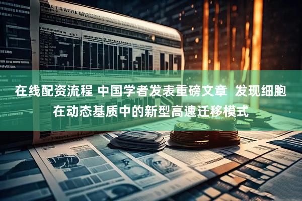 在线配资流程 中国学者发表重磅文章  发现细胞在动态基质中的新型高速迁移模式